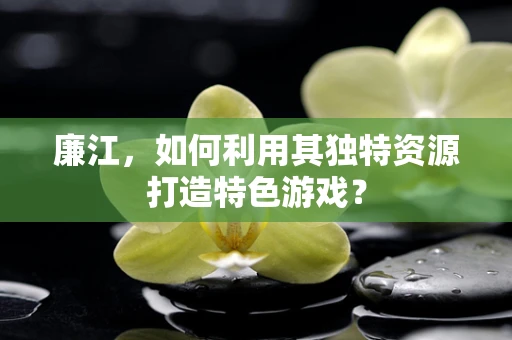 廉江，如何利用其独特资源打造特色游戏？