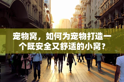 宠物窝，如何为宠物打造一个既安全又舒适的小窝？