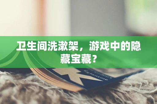 卫生间洗漱架，游戏中的隐藏宝藏？
