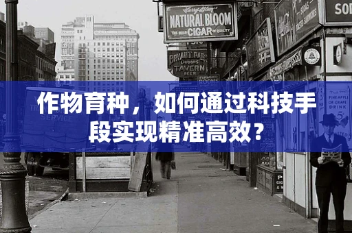 作物育种，如何通过科技手段实现精准高效？