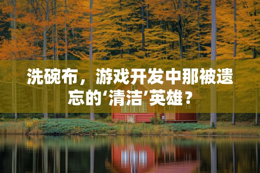 洗碗布，游戏开发中那被遗忘的‘清洁’英雄？