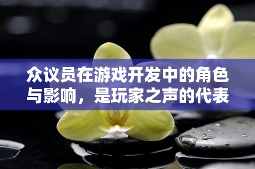 众议员在游戏开发中的角色与影响，是玩家之声的代表还是技术决策的桥梁？