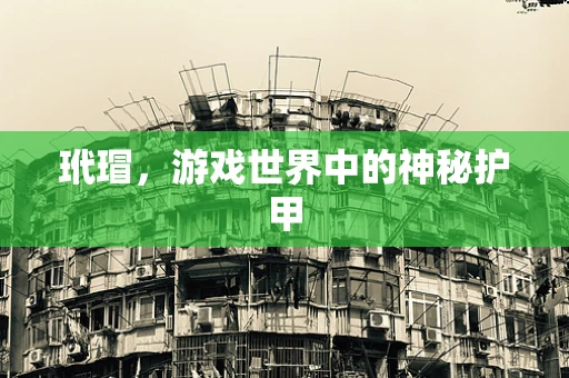 玳瑁，游戏世界中的神秘护甲