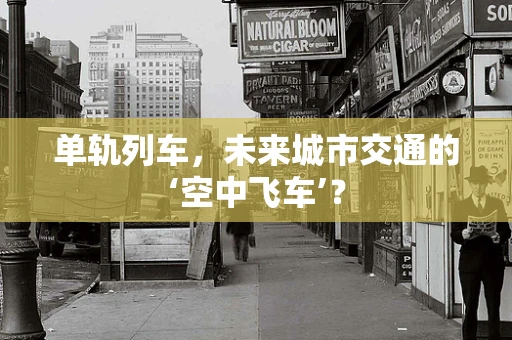 单轨列车，未来城市交通的‘空中飞车’？