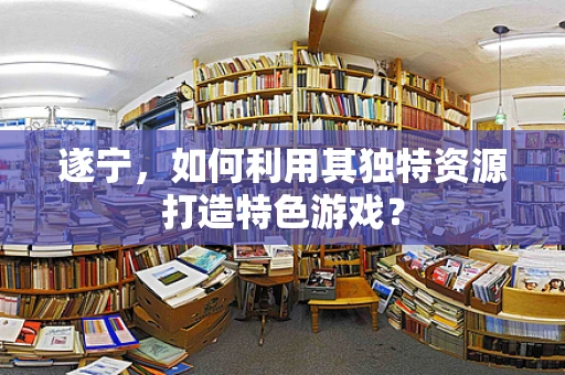 遂宁，如何利用其独特资源打造特色游戏？
