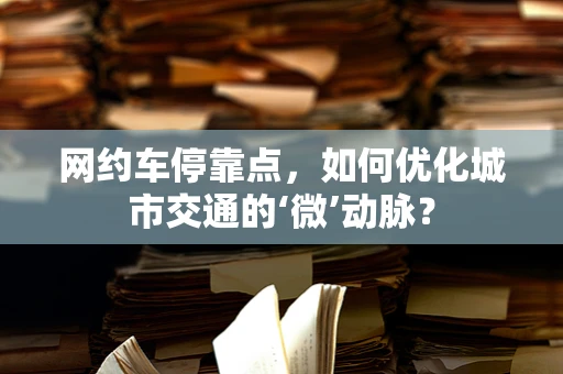 网约车停靠点，如何优化城市交通的‘微’动脉？