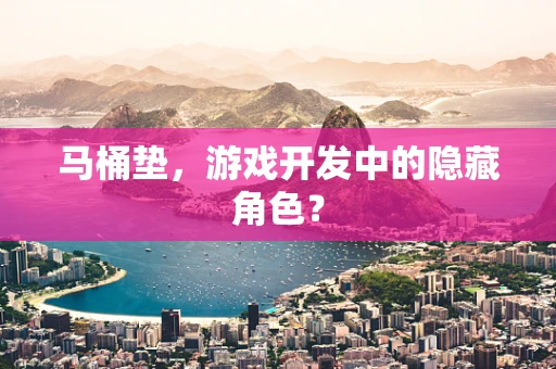马桶垫，游戏开发中的隐藏角色？