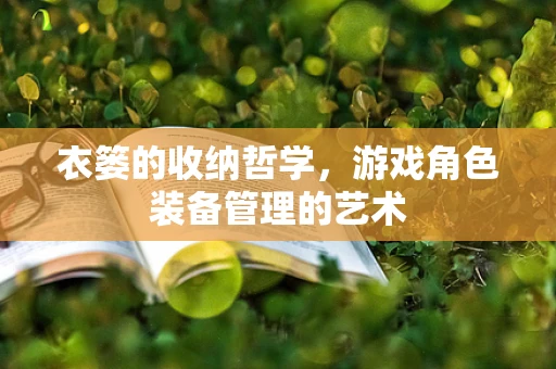 衣篓的收纳哲学，游戏角色装备管理的艺术