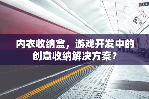内衣收纳盒，游戏开发中的创意收纳解决方案？