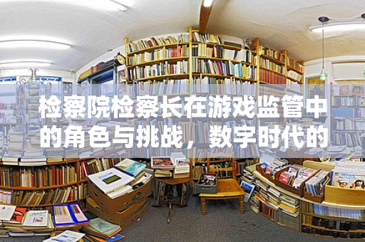 检察院检察长在游戏监管中的角色与挑战，数字时代的‘守门人’？