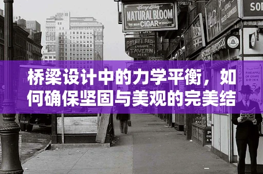 桥梁设计中的力学平衡，如何确保坚固与美观的完美结合？