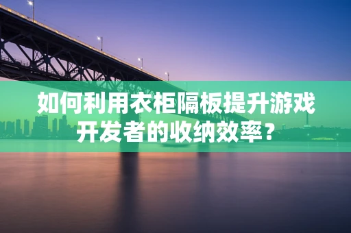如何利用衣柜隔板提升游戏开发者的收纳效率？