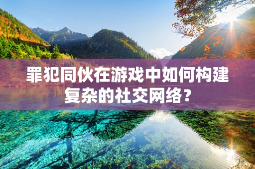 罪犯同伙在游戏中如何构建复杂的社交网络？