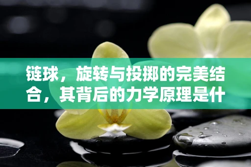 链球，旋转与投掷的完美结合，其背后的力学原理是什么？