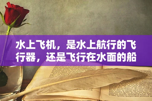 水上飞机，是水上航行的飞行器，还是飞行在水面的船只？