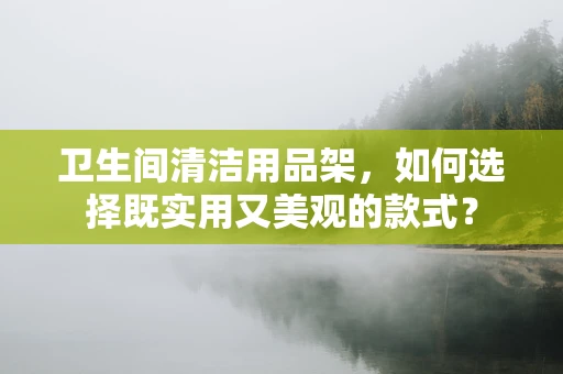 卫生间清洁用品架，如何选择既实用又美观的款式？