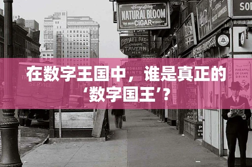 在数字王国中，谁是真正的‘数字国王’？