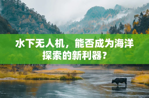 水下无人机，能否成为海洋探索的新利器？