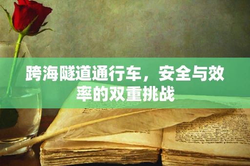 跨海隧道通行车，安全与效率的双重挑战