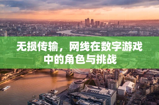 无损传输，网线在数字游戏中的角色与挑战
