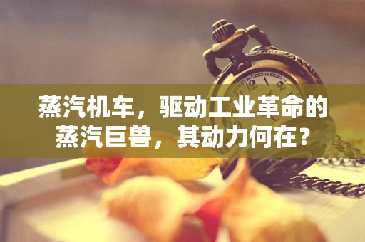 蒸汽机车，驱动工业革命的蒸汽巨兽，其动力何在？