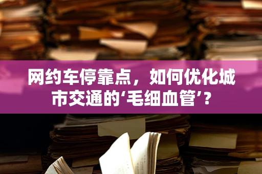 网约车停靠点，如何优化城市交通的‘毛细血管’？