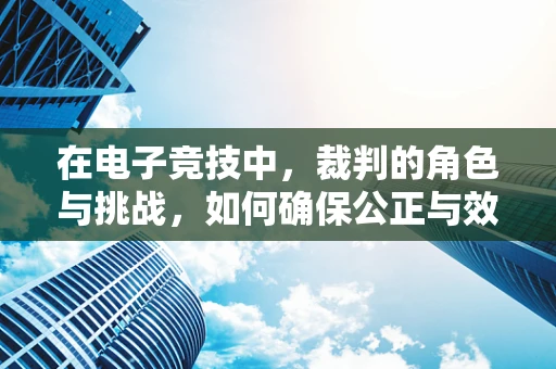 在电子竞技中，裁判的角色与挑战，如何确保公正与效率的平衡？