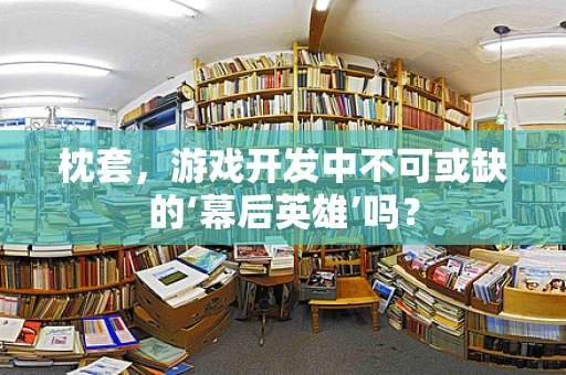 枕套，游戏开发中不可或缺的‘幕后英雄’吗？