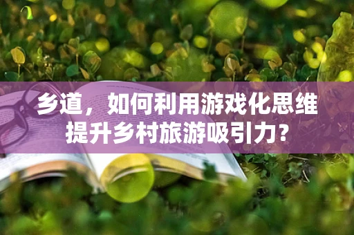 乡道，如何利用游戏化思维提升乡村旅游吸引力？