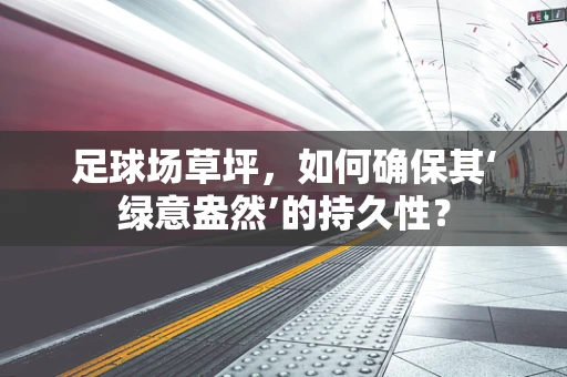 足球场草坪，如何确保其‘绿意盎然’的持久性？