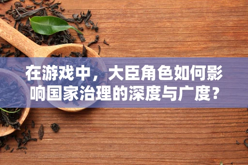 在游戏中，大臣角色如何影响国家治理的深度与广度？