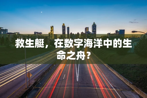 救生艇，在数字海洋中的生命之舟？