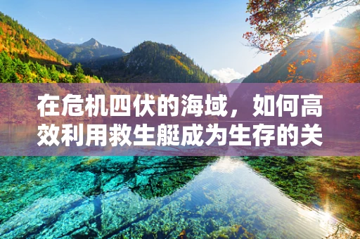 在危机四伏的海域，如何高效利用救生艇成为生存的关键？