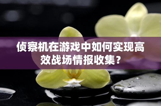 侦察机在游戏中如何实现高效战场情报收集？