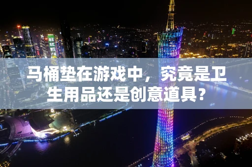 马桶垫在游戏中，究竟是卫生用品还是创意道具？