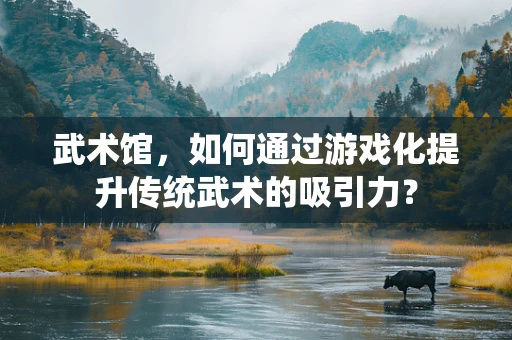 武术馆，如何通过游戏化提升传统武术的吸引力？