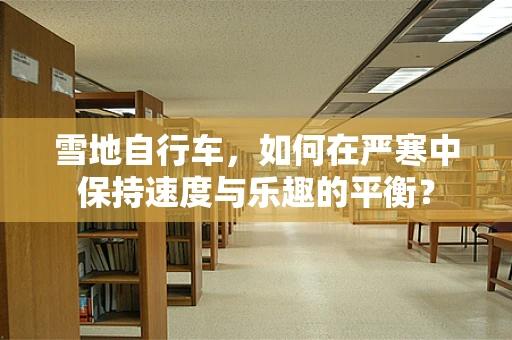 雪地自行车，如何在严寒中保持速度与乐趣的平衡？