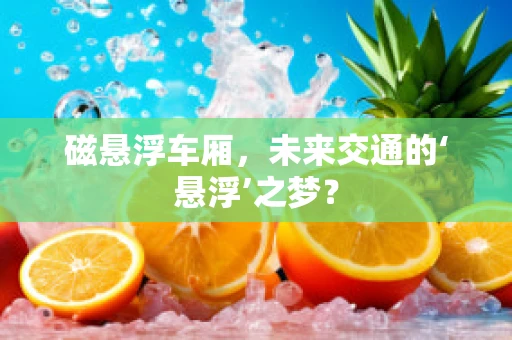 磁悬浮车厢，未来交通的‘悬浮’之梦？