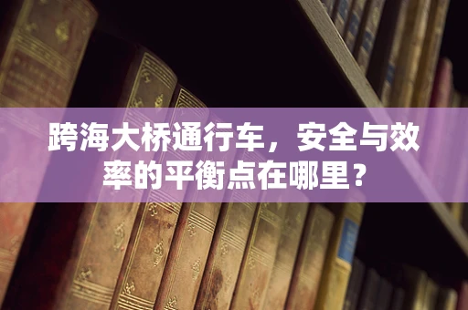 跨海大桥通行车，安全与效率的平衡点在哪里？