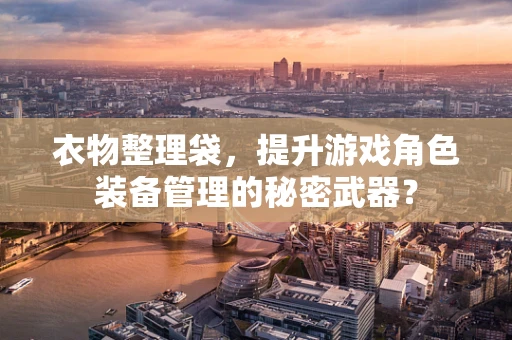 衣物整理袋，提升游戏角色装备管理的秘密武器？