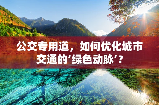 公交专用道，如何优化城市交通的‘绿色动脉’？