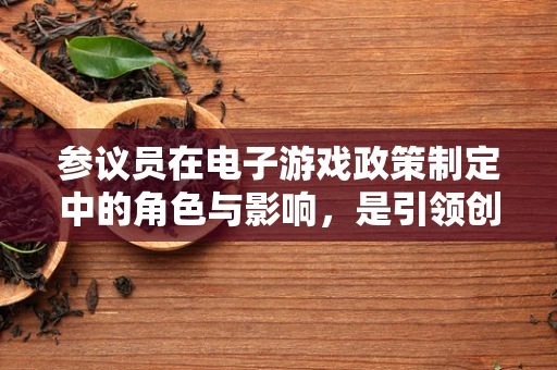 参议员在电子游戏政策制定中的角色与影响，是引领创新还是监管束缚？