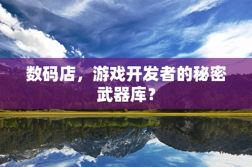 数码店，游戏开发者的秘密武器库？