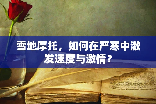 雪地摩托，如何在严寒中激发速度与激情？