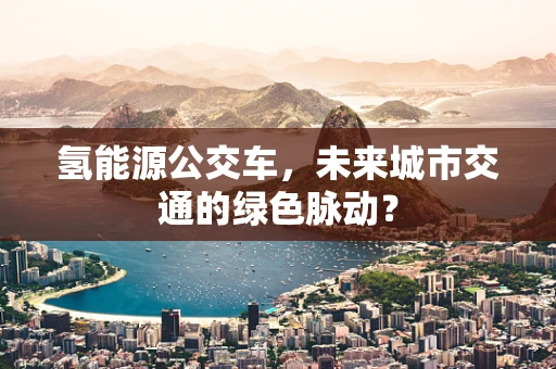 氢能源公交车，未来城市交通的绿色脉动？