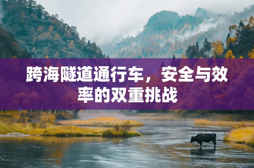跨海隧道通行车，安全与效率的双重挑战