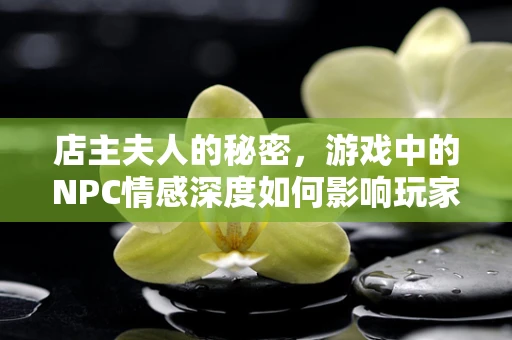 店主夫人的秘密，游戏中的NPC情感深度如何影响玩家体验？
