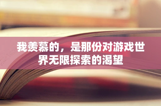 我羡慕的，是那份对游戏世界无限探索的渴望