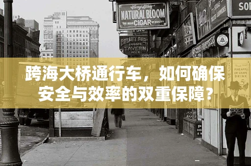跨海大桥通行车，如何确保安全与效率的双重保障？