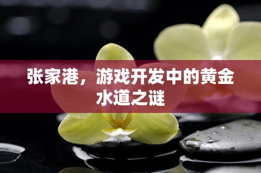 张家港，游戏开发中的黄金水道之谜